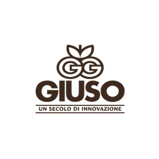 GIUSO